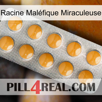 Racine Maléfique Miraculeuse levitra1